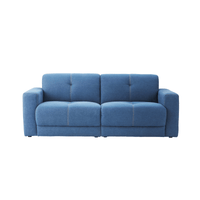 AZUMAYA|2P Sofa|Capital