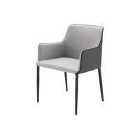 Serio Arm Chair|セリオ アームチェア|グレー