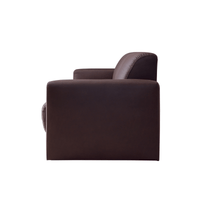 AZUMAYA|2P Sofa|Capital