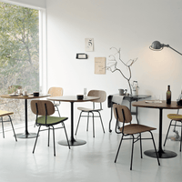 graf|Plankton Table|プランクトンテーブル