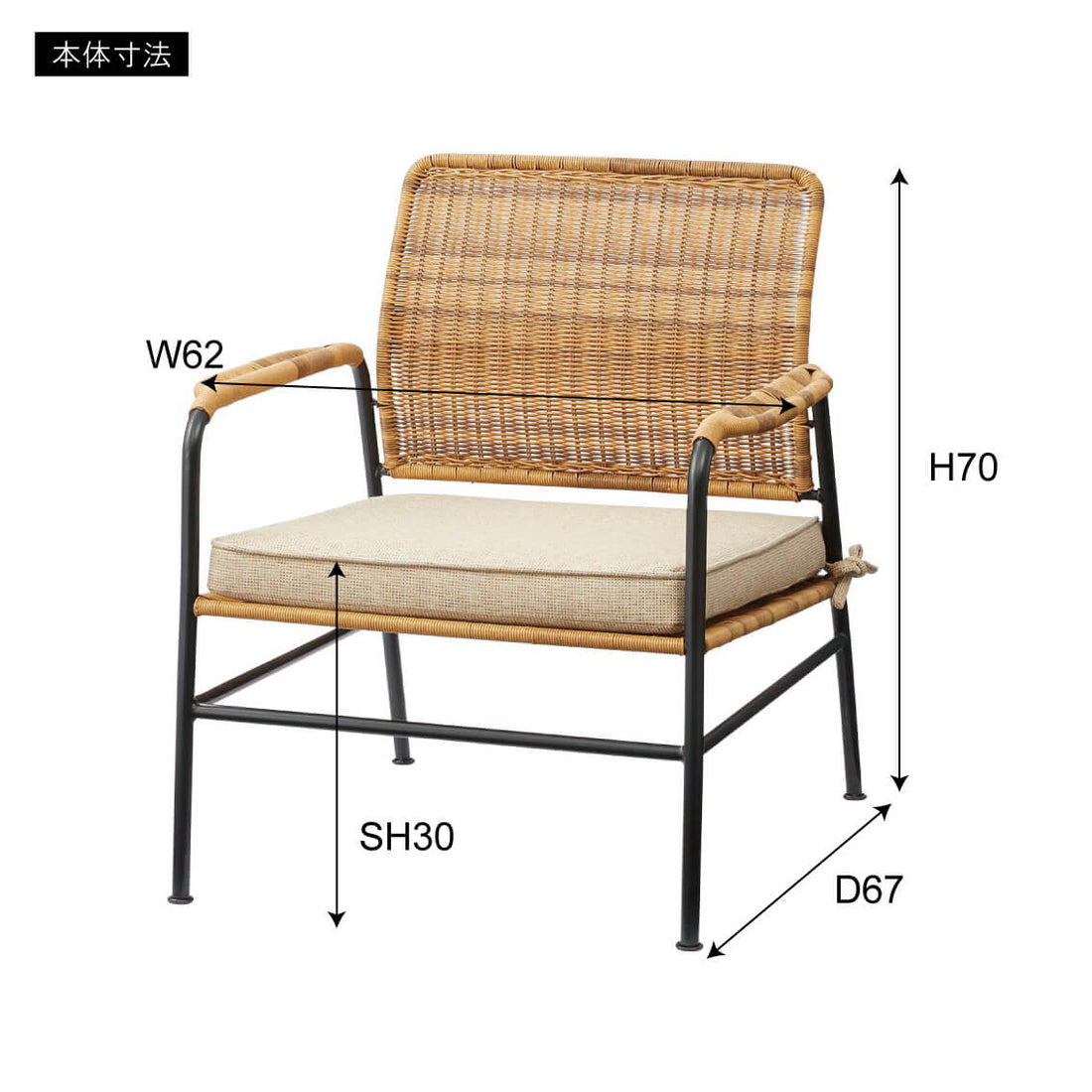 AZUMAYA|Personal Chair|NRS-540