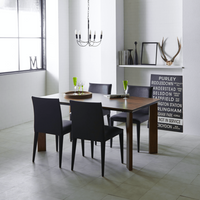 Dining Arm chair PEN|ダイニングアームチェア ペン