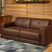 AZUMAYA|2P Sofa|Capital