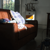 AZUMAYA|2P Sofa|Mirrored